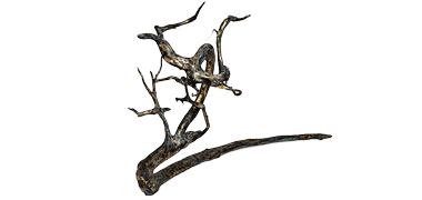 Ten RyūSky dragon
