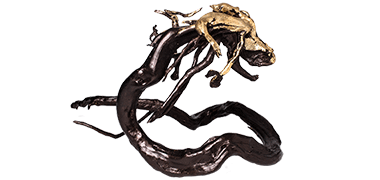 RyuSea Dragon