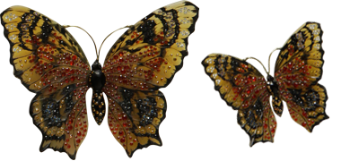 Aglais Io
