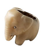 Elephas maximus