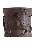 Equus ferus caballus