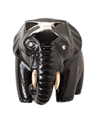 Elephas maximusasian elephant