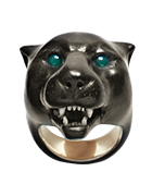 Panthera oncablack jaguar