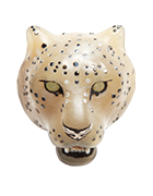 Panthera unciasnow leopard