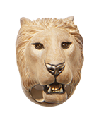 Panthera leolion
