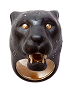 Panthera OncaBlack Jaguar II