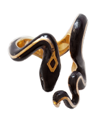 Thamnophis Elegans TerrestrisGater snake