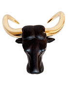 Syncerus cafferCape Buffalo