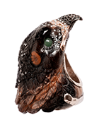 Buteo platypterusBroad Winged Hawk