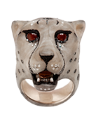 Acinonyx JubatusCheetah II