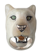 Panthera Leo KugeriWhite Lionness