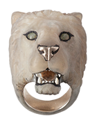 Panthera Leo KugeriWhite Lion
