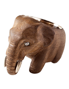 Elephas maximusasian elephant