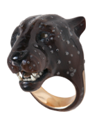 Panthera Pardus