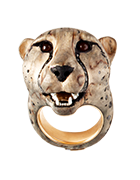 Acinonyx jubatuscheetah