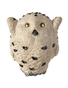 Bubo Scandiacus