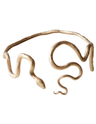 Serpentes