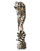 LEPTAILURUS SERVAL