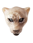 Panthera leowhite lioness