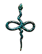Gonyosoma frenatumblue phase