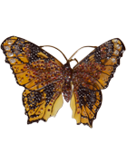 Aglais Io