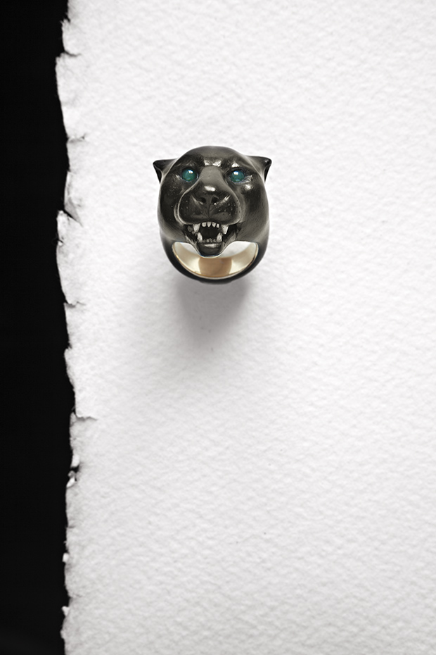 Panthera oncablack jaguar
