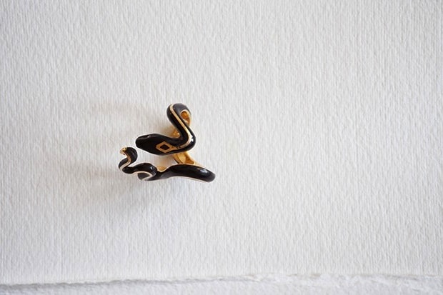Thamnophis Elegans TerrestrisGater snake