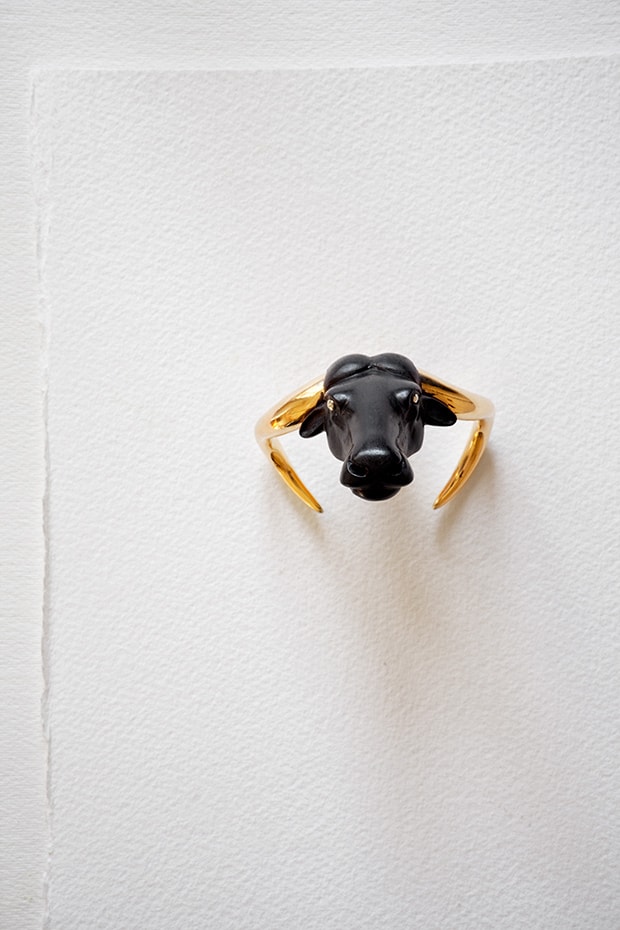 Syncerus cafferCape Buffalo