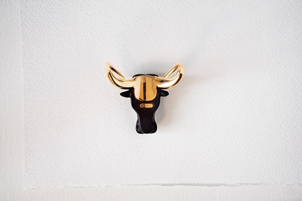 Syncerus cafferCape Buffalo