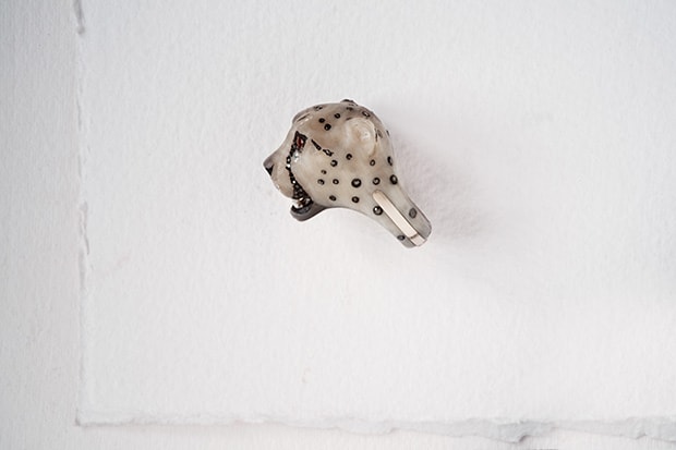 Acinonyx JubatusCheetah II