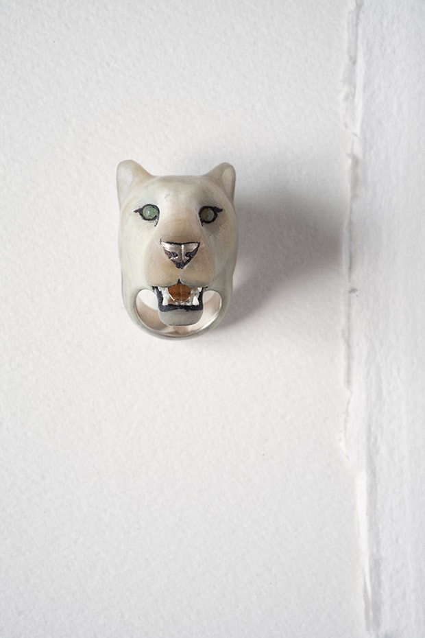 Panthera Leo KugeriWhite Lionness