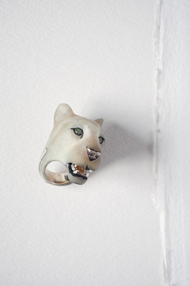 Panthera Leo KugeriWhite Lionness