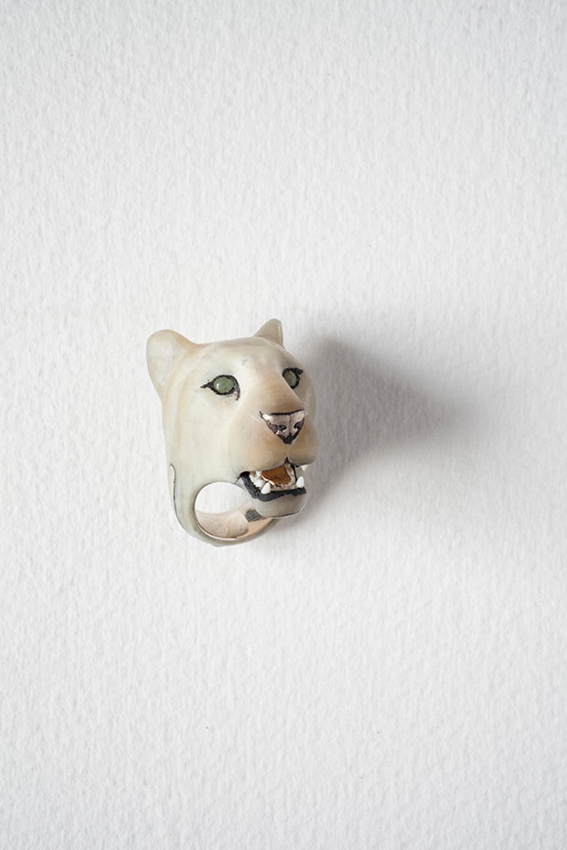 Panthera Leo KugeriWhite Lionness