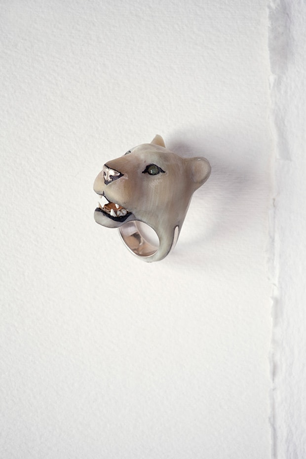 Panthera Leo KugeriWhite Lionness