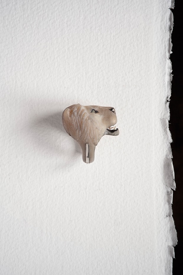 Panthera Leo KugeriWhite Lion