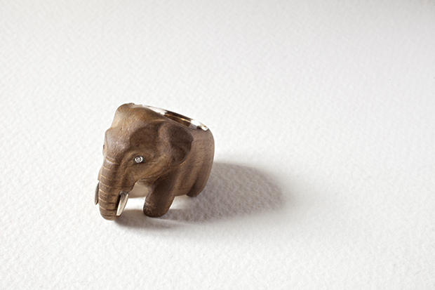 Elephas maximusasian elephant