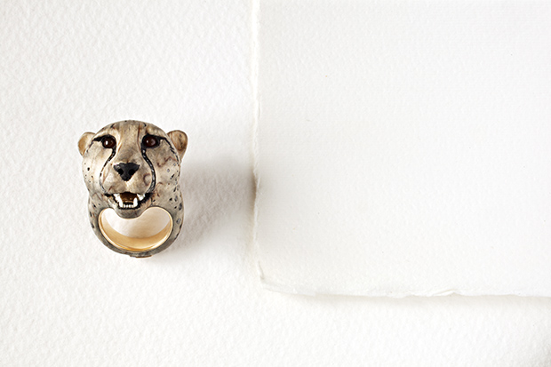 Acinonyx jubatuscheetah