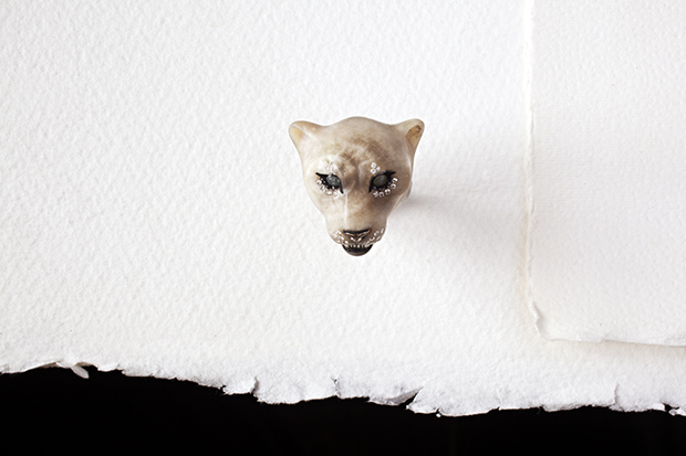 Panthera leowhite lioness